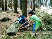 Na dně moře - mořští tvorové z přírodnin